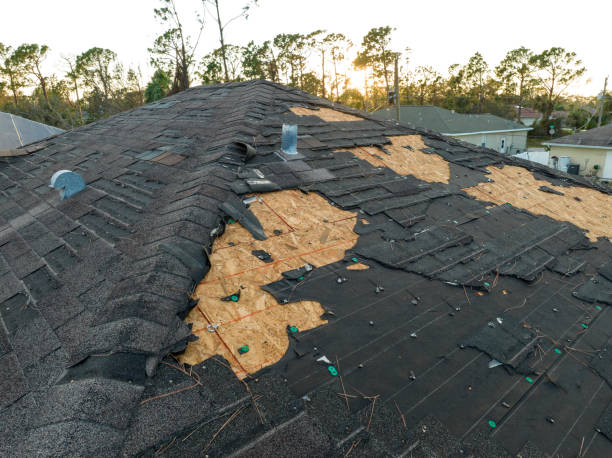 Best Green or Eco-Friendly Roofing Solutions  in Woodstock, GA