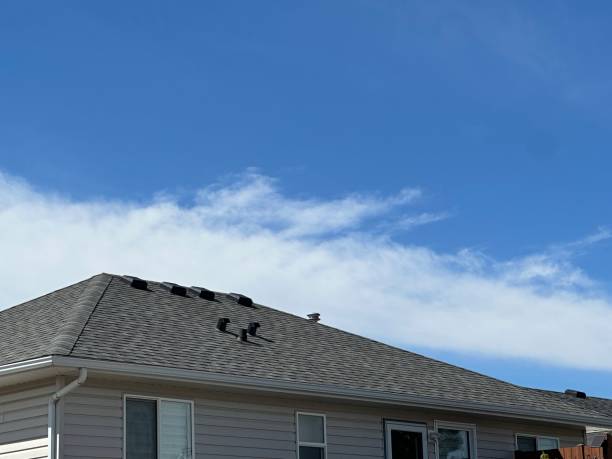 Best Solar Panel Roofing Installation  in Woodstock, GA